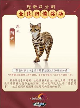 开天龙八部私服价位